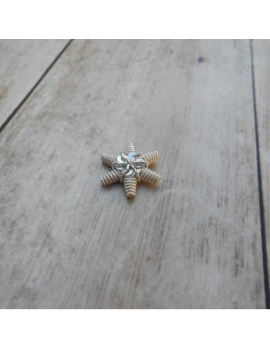 Embroidered star in silver string length