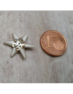 Embroidered silver star in thread