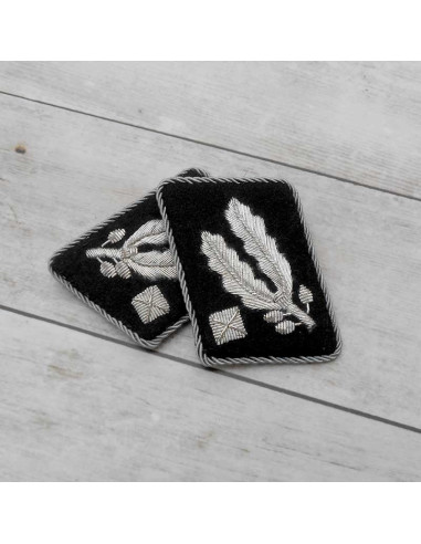 Standartenführer-SS's wire collar patches