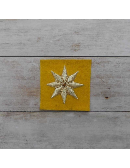Estrella bordada en canutillo de oro