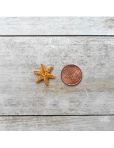 Embroidered star in gold string length