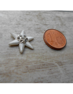 Estrella bordada en hilo de plata